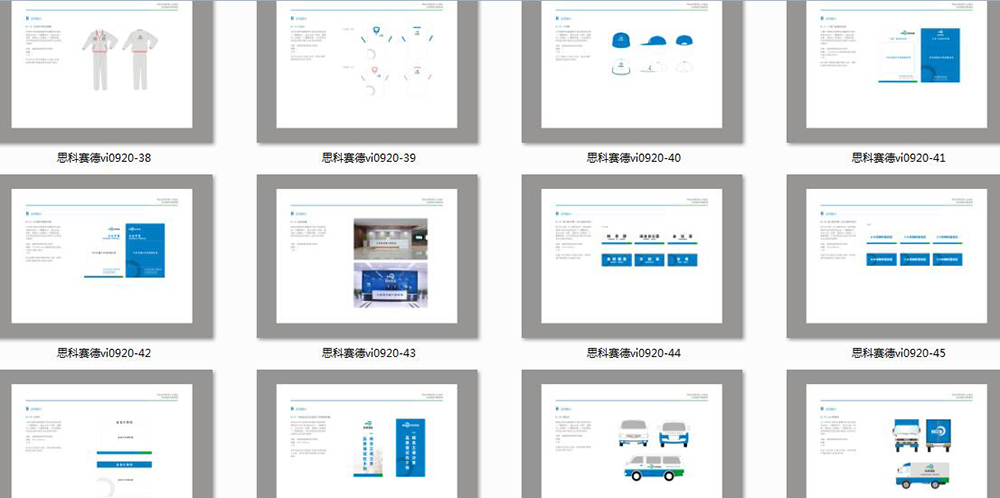 思科赛德VI识别系统10.jpg